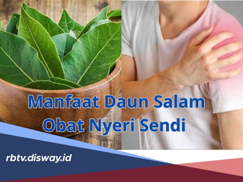 Wajib Tahu! Ini Manfaat Daun Salam untuk Obat Nyeri Sendi, Lengkap dengan Cara Penggunaan