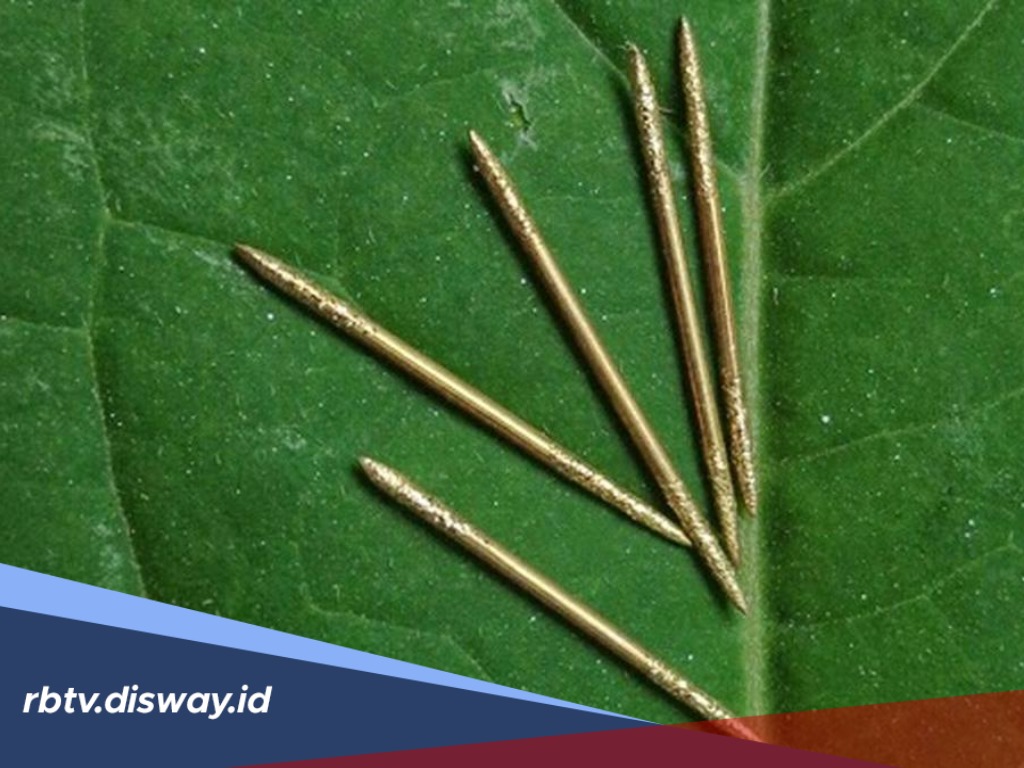 Ngeri! Ini Dosa Bagi Orang yang Pakai Susuk, jika Terlanjur Pakai Begini Cara Bertaubatnya