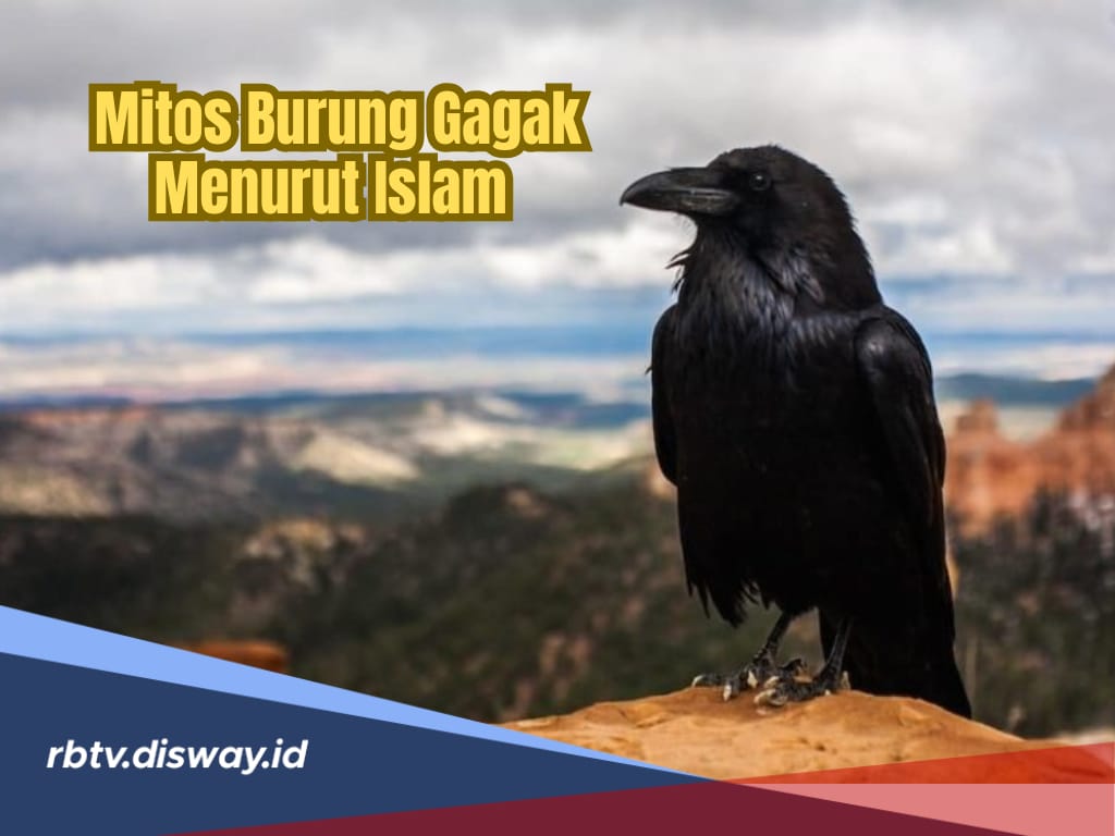 Mitos Burung Gagak Menurut Islam dan Kematian, Ternyata Membawa 6 Pertanda Ini