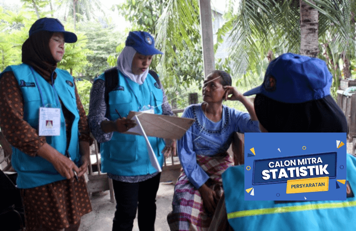 Selain Gaji Pokok, Ini Tunjangan yang Diterima Mitra Statistik BPS 2026 