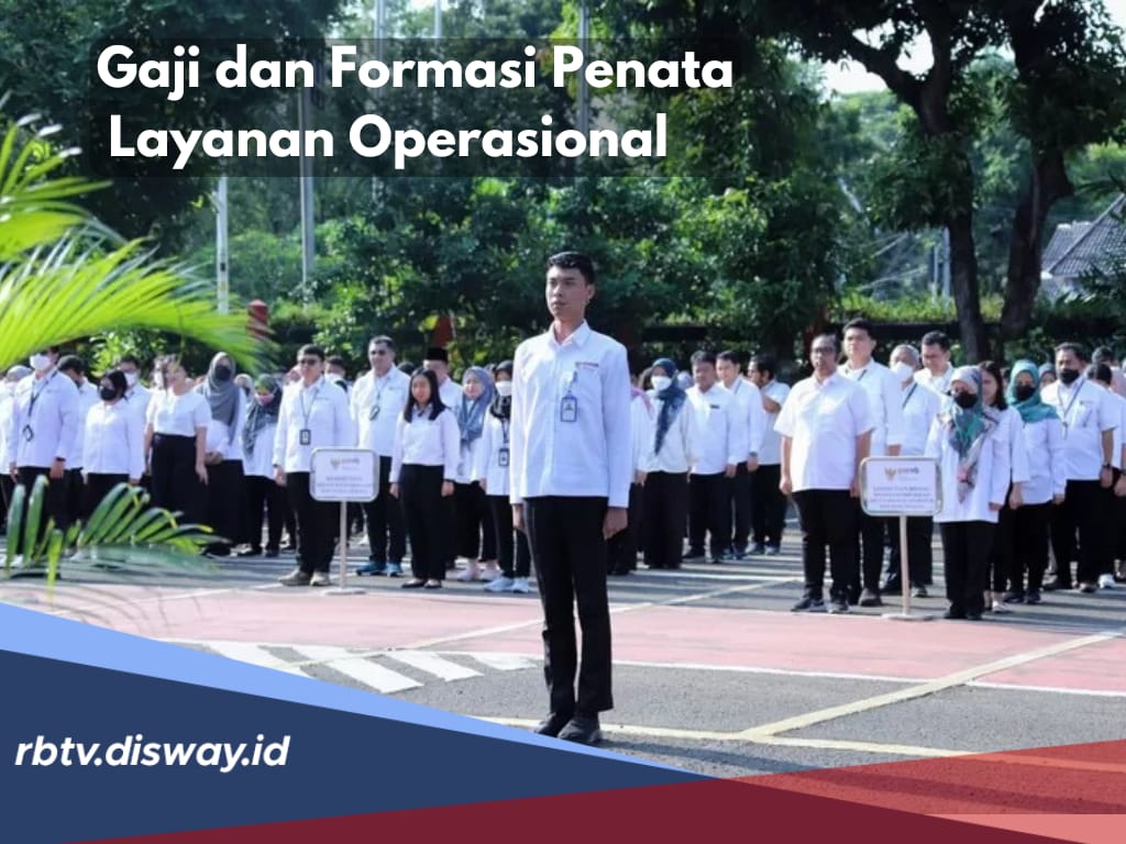 Besaran Gaji dan Formasi Penata Layanan Operasional Badan Pusat Statistik, Tertarik Daftar? 