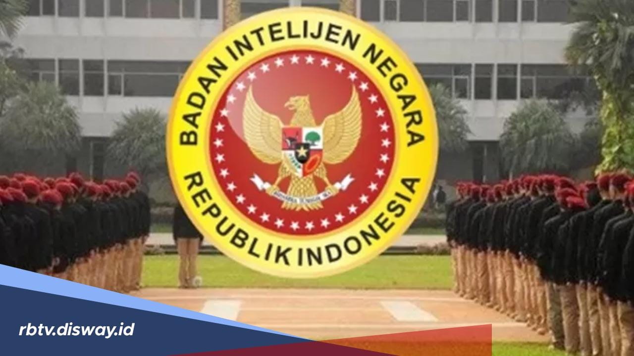 Pendaftaran CPNS BIN 2024 Formasi Lulusan SMA dan SMK Segera Dibuka