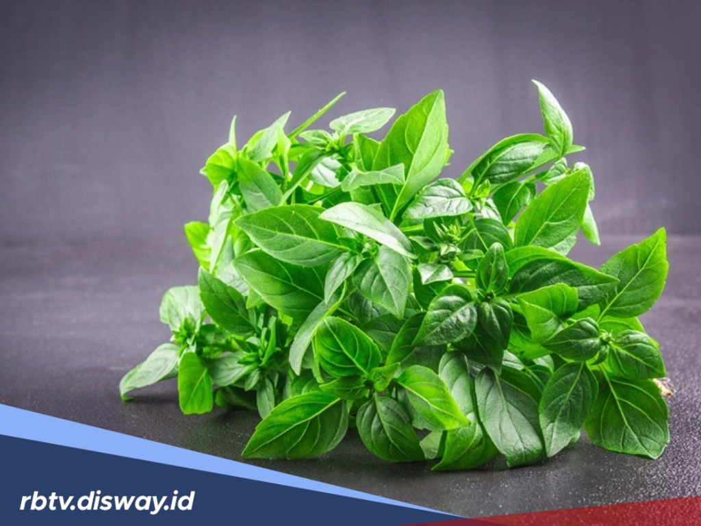 Bukan Sekadar Tanaman, Rupanya 5 Daun Ini Simbol Kekayaan dan Kemakmuran