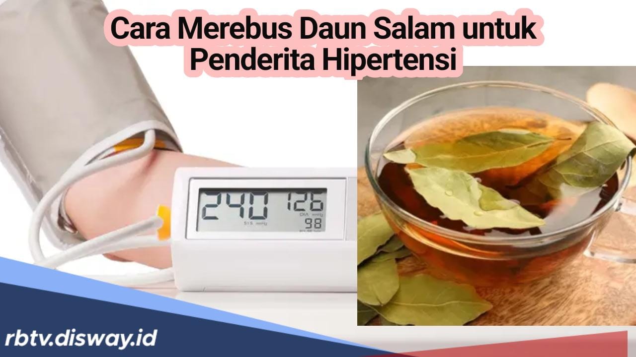 Diyakini Ampuh, Bagi Penderita Hipertensi, Begini Caranya Merebus Daun Salam Sebagai Obat