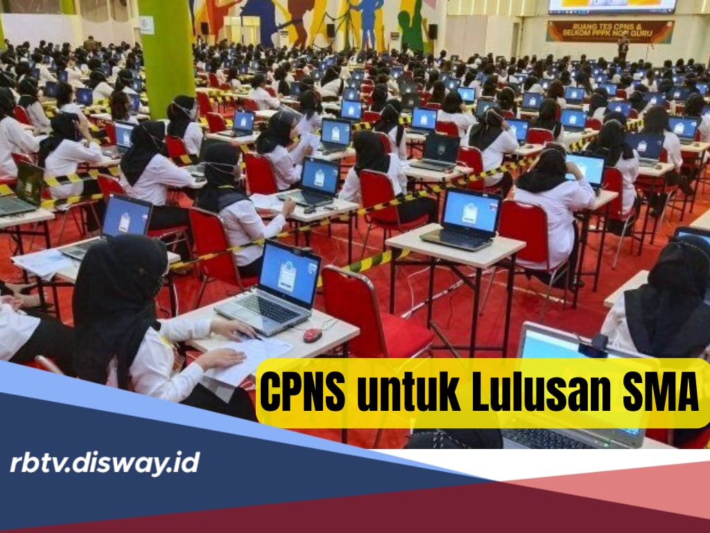 CPNS 2024 Sudah Dibuka, Ini Daftar Posisi yang Tersedia untuk Lulusan SMA