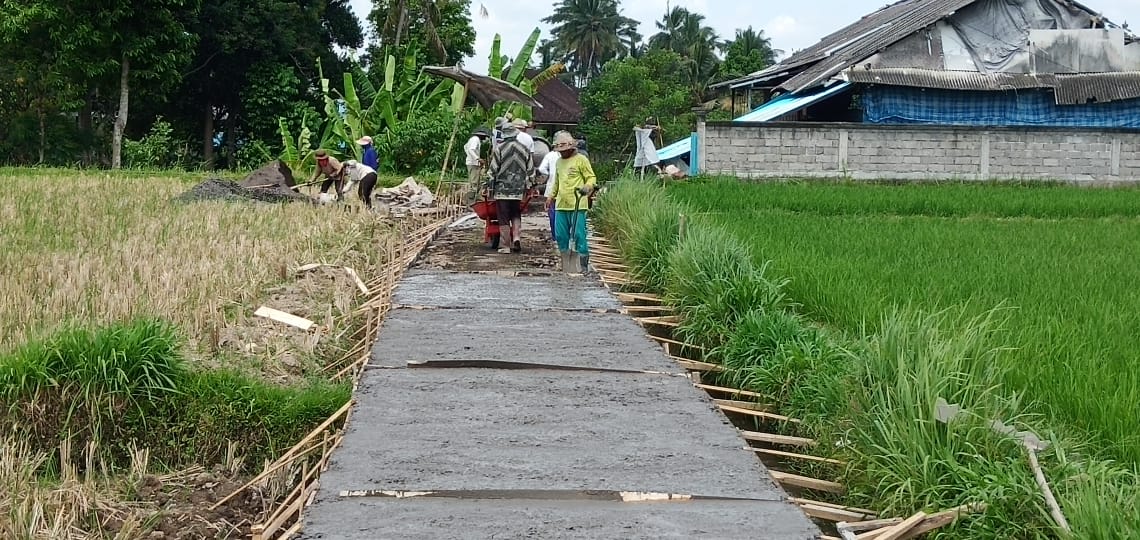 Rincian Dana Desa di Kabupaten Maluku Tenggara, Desa Mana yang Paling Banyak Dananya?