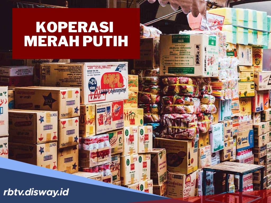 Tertarik Jadi Pengawas Koperasi Merah Putih? Ini Syaratnya