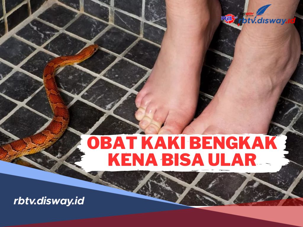 3 Ramuan Obat Alami yang Ampuh untuk Kaki Bengkak Kena Bisa Ular, Begini Cara Penggunaannya