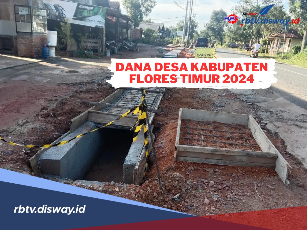 Rincian Dana Desa Kabupaten Flores Timur 2024, Ini Desa dengan Pembagian Paling Besar