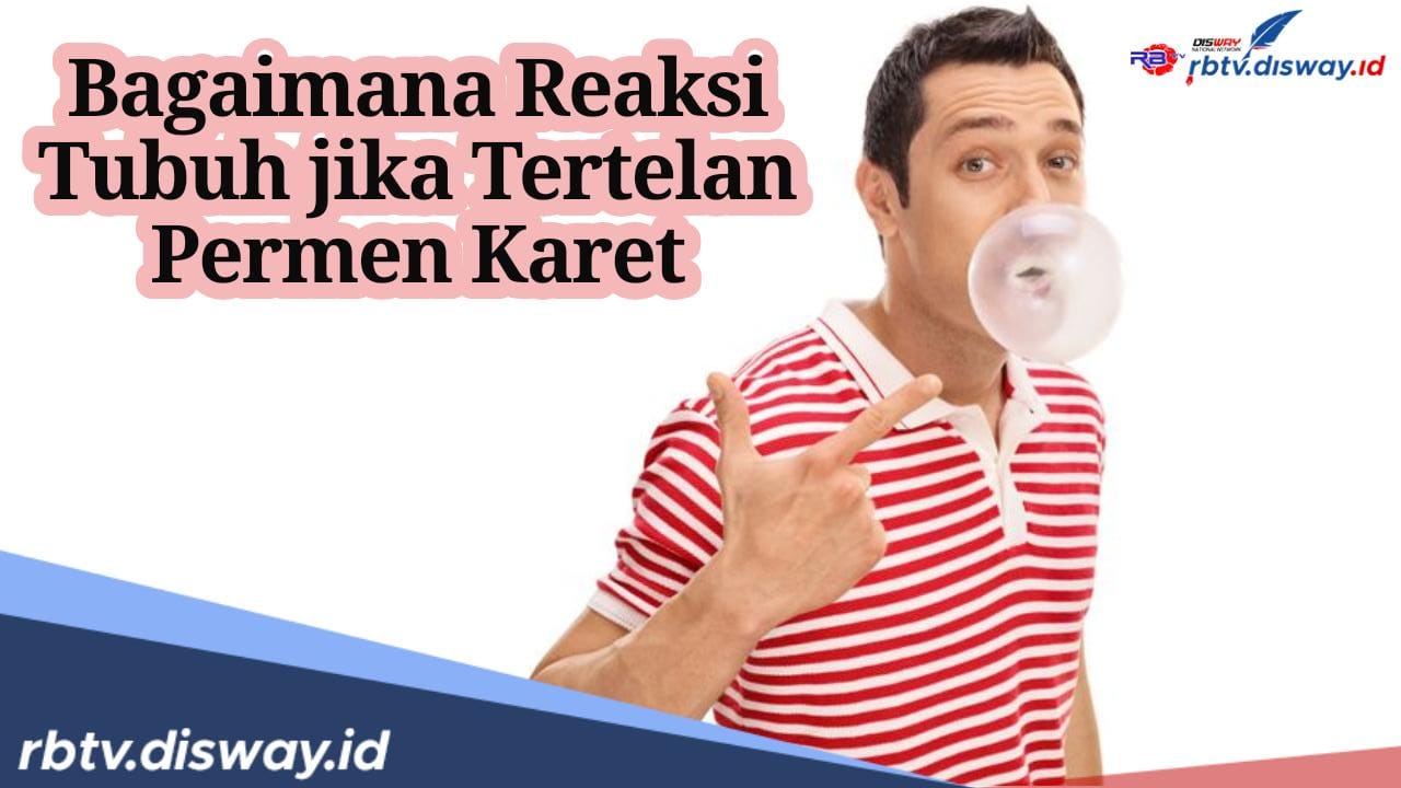 Seperti Ini Reaksi Tubuh jika Tertelan Permen Karet, Bahayakah?