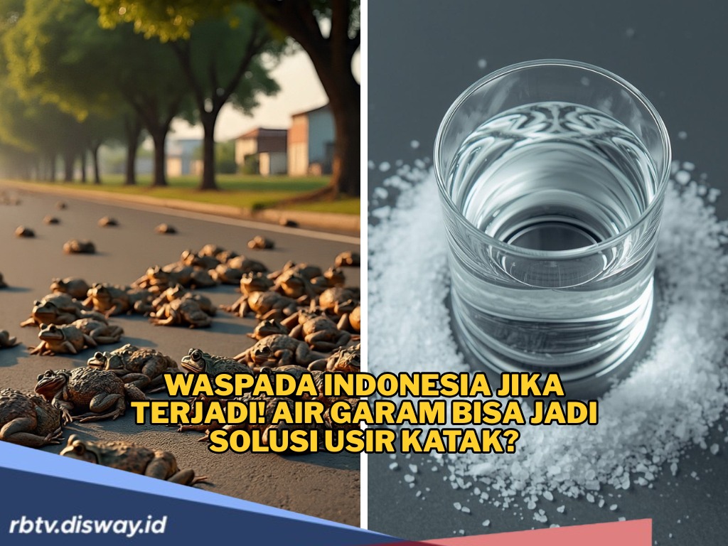 Langkah Antasipasi yang Dilakukan Warga RI jika Terjadi Hujan Katak Mirip di Brazil, Solusi Usir Katak
