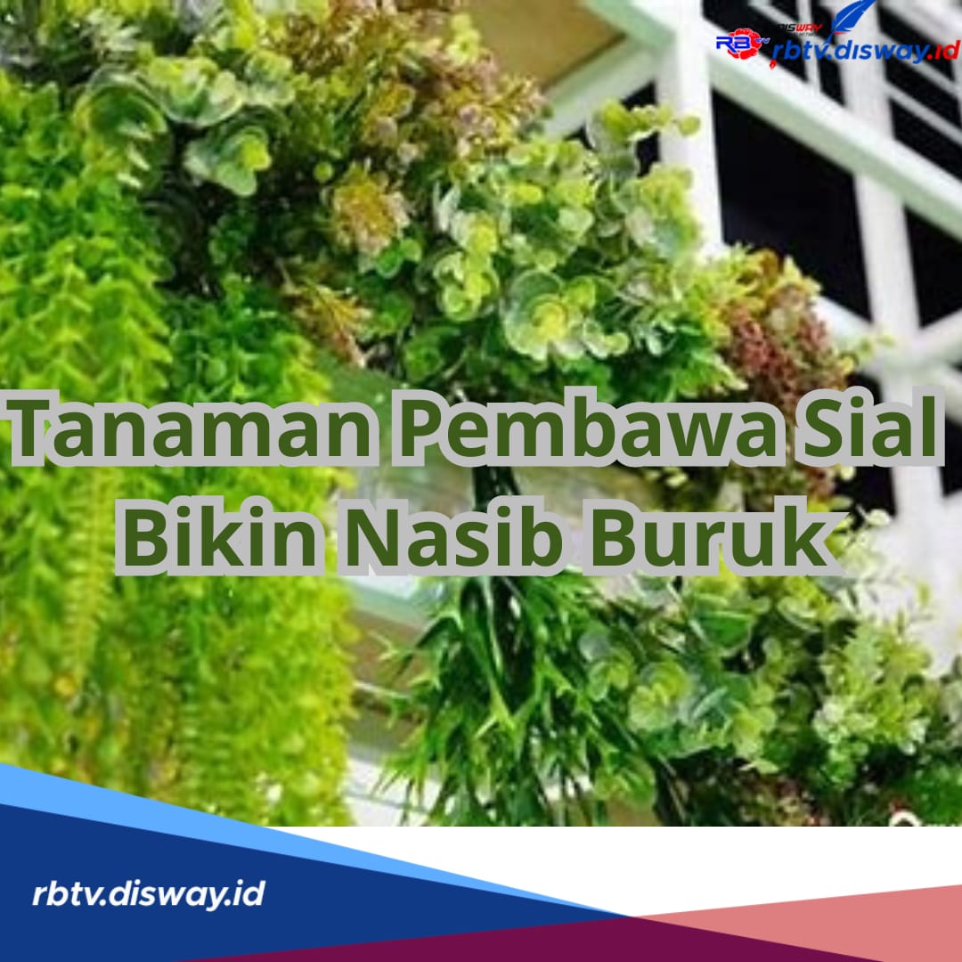 Ini 8 Tanaman Pembawa Sial, Jangan Coba-coba Ditanam di Rumah, Bikin Nasib Buruk