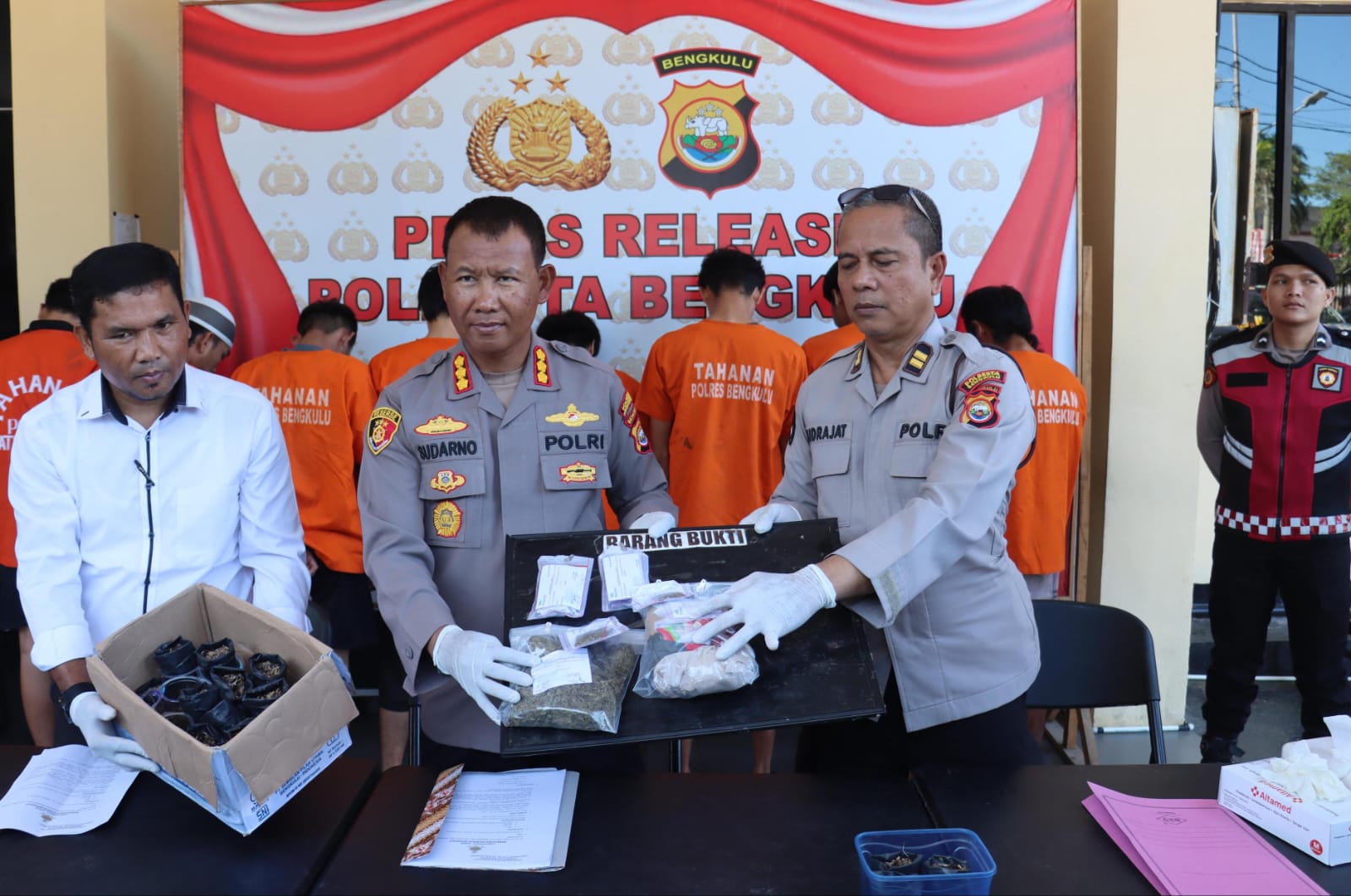 Salah Tanam, Pemuda Pasar Bengkulu Ditangkap Polisi Lantaran Menyemai Ganja di Halaman Rumah