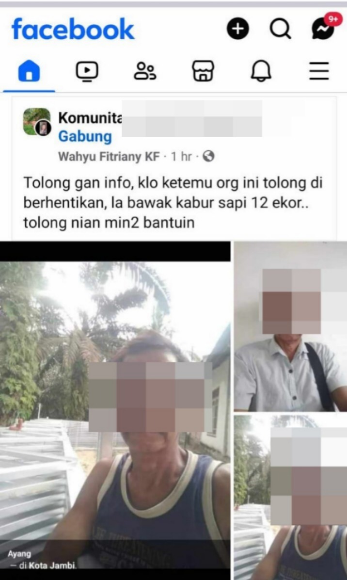 Modus Bantu Jual, Ini Penampakan Pak Kumis yang Bawa Kabur 12 Ekor Sapi warga Sukaraja