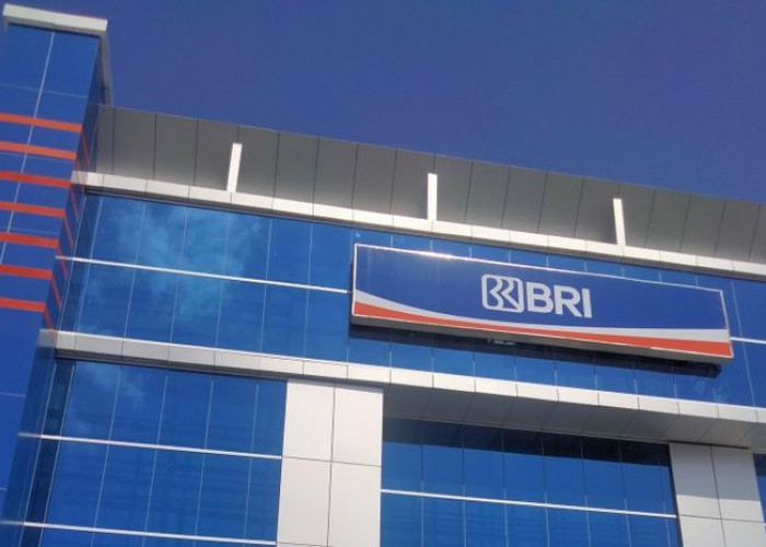 Mau Pinjaman Rp 300 Juta dengan Angsuran Rp 183 Ribu? Ajukan KUR BRI Bulan November