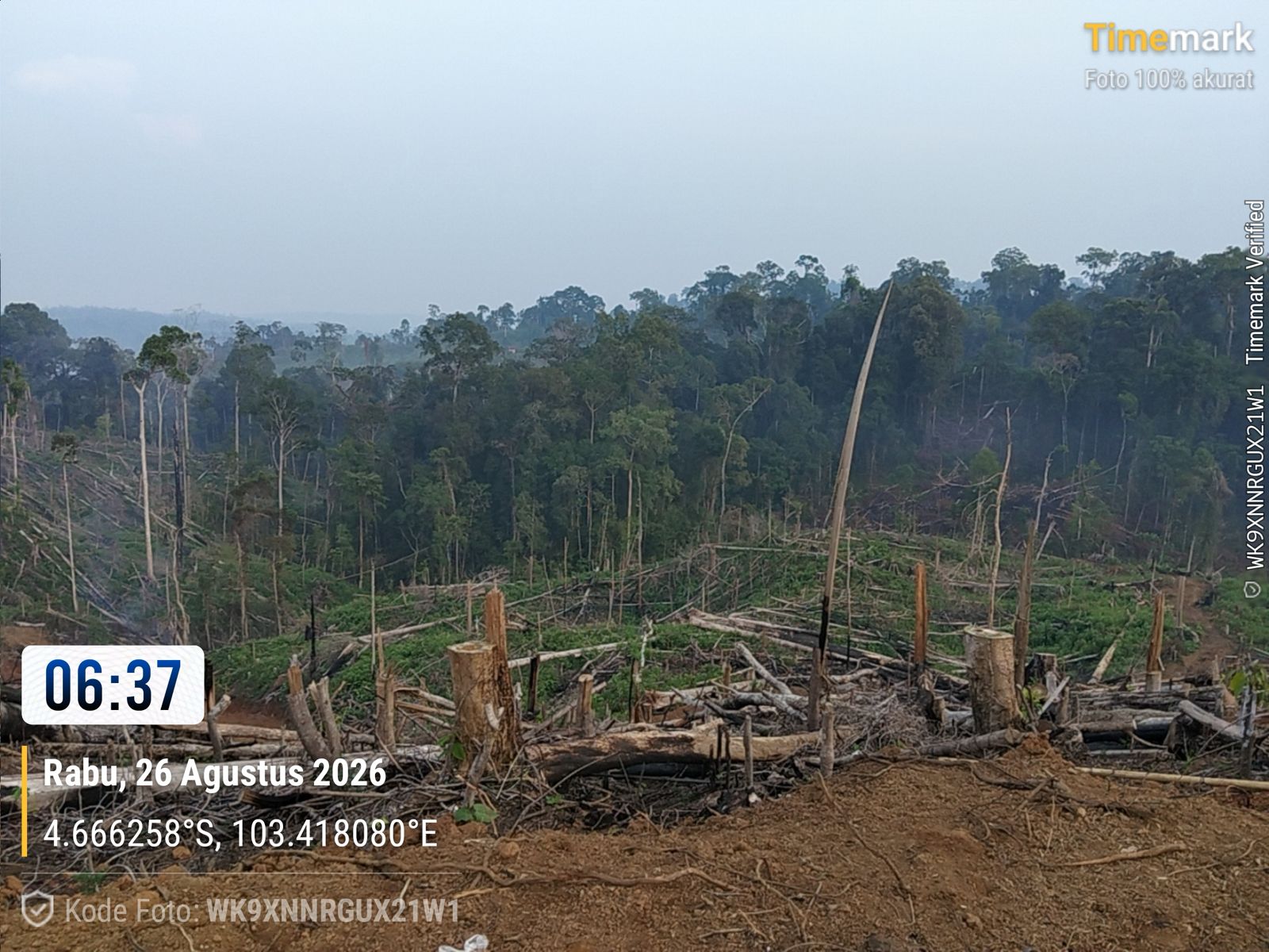 Kemenhut Amankan 40 Hektar Zona Inti TNBBS Ditebang dan Dibakar, 4 Tersangka Ditahan