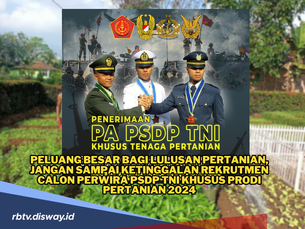 Ini Tahapan Seleksi Rekrutmen Calon Perwira PSDP TNI Khusus Prodi Pertanian 2024