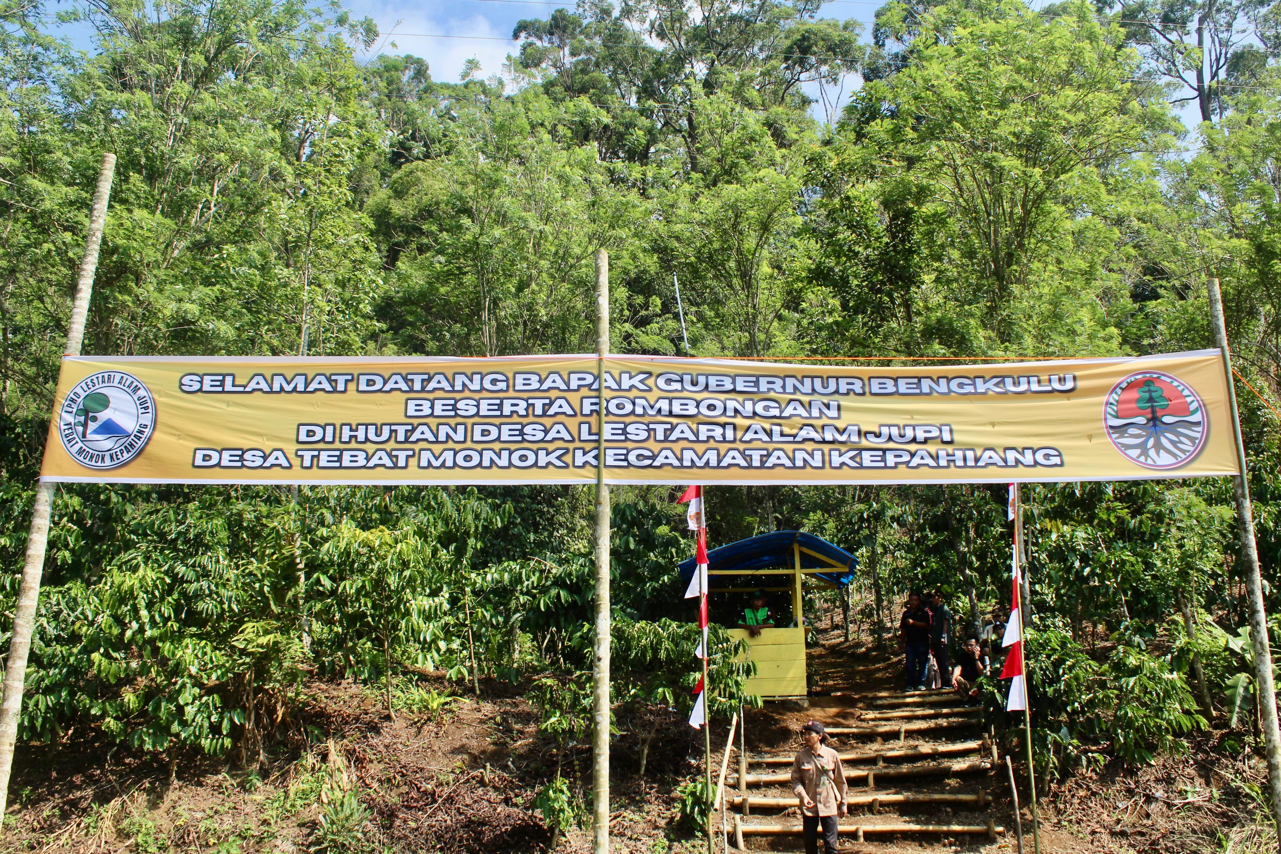 Pesona Alam Lestari Bukit Jupi, Destinasi Wisata Perhutanan Desa Pertama di Kepahiang
