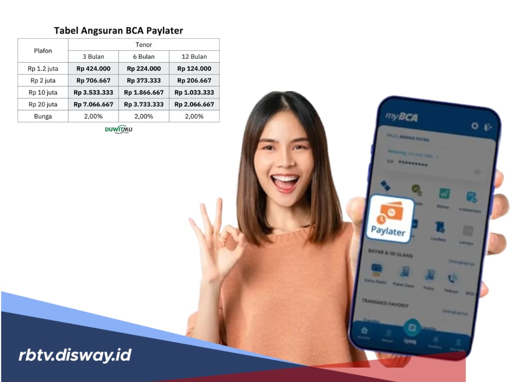 Pinjaman Online Mudah, Ini Simulasi Tabel Angsuran Paylater BCA Rp 10-20 Juta, Cek Syaratnya