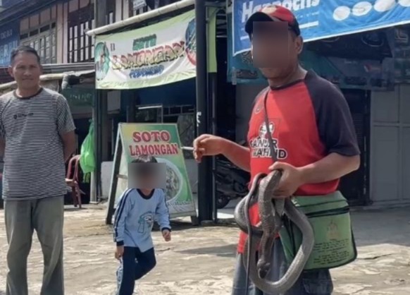 Cerita Pria di Pasar Kepahiang Tewas Digigit Kobra, Sempat Diduga Pawang Ular