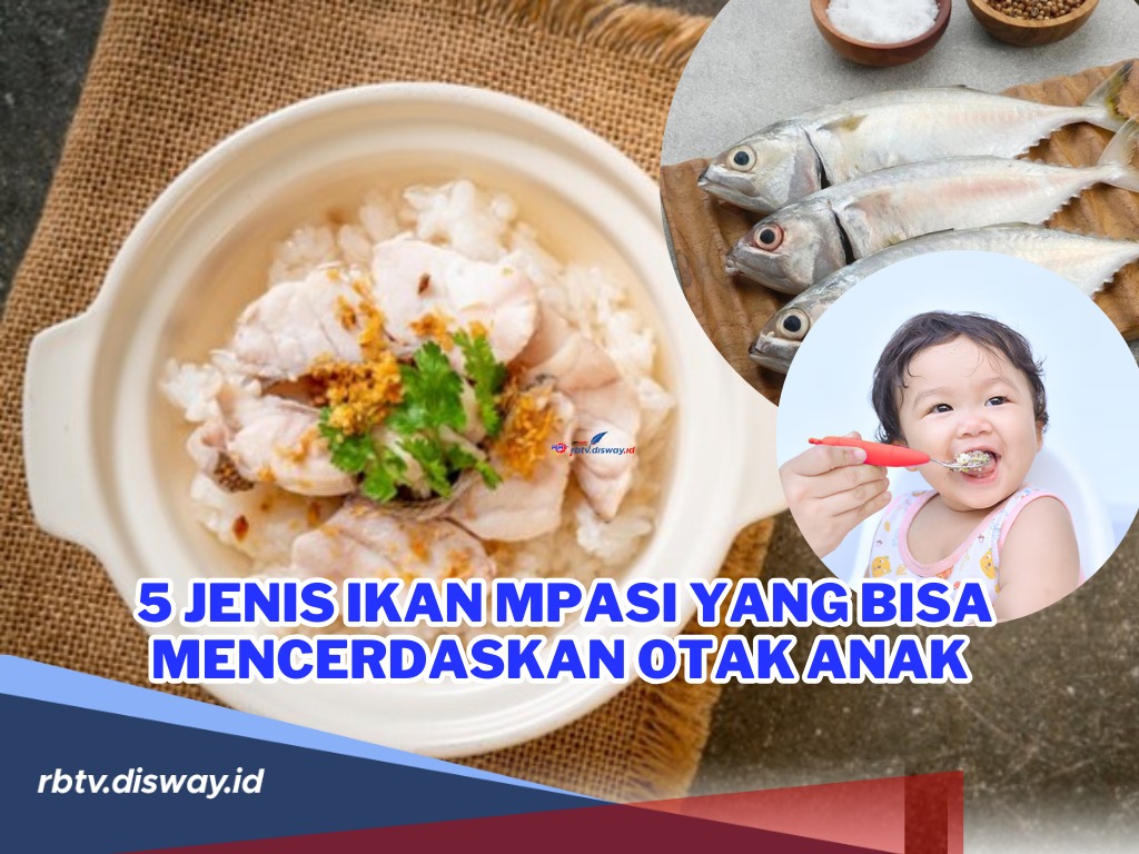 5 Jenis Ikan MPASI yang Bisa Mencerdaskan Otak Anak dan Resep MPASI Bikin Buah Hati Lahap Makan