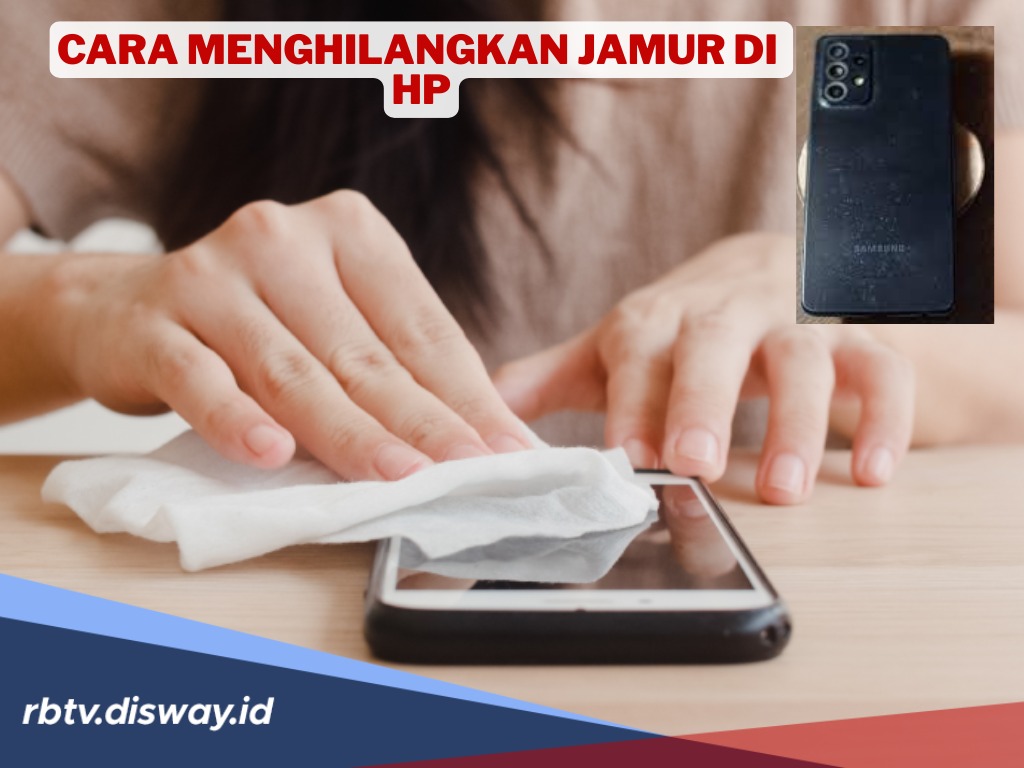 Terbukti Ampuh, Ini Cara Jitu Menghilangkan Jamur di HP, Yuk Dicoba! 