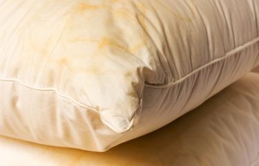 6 Cara Menghilangkan Jamur di Bantal, Jangan Anggap Remeh karena Jamur Bantal Bisa Sebabkan Asma