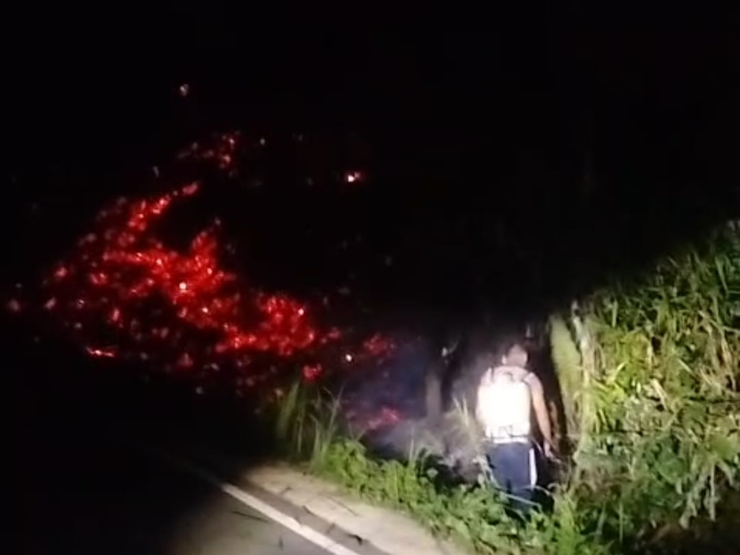 Lahan Kebun Sawit di Talang Sali Kabupaten Seluma Terbakar