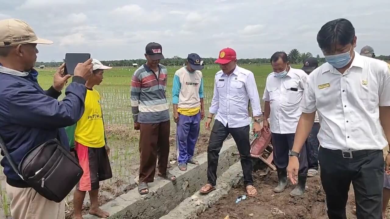 Program Optimalisasi Lahan Non Rawa, 2.584 Hektar Lahan di Seluma Disulap jadi Lahan Sawah Produktif