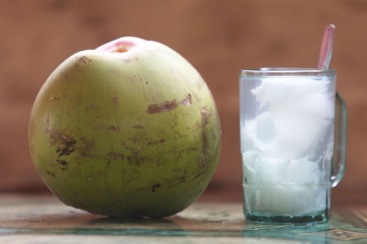 7 Dampak Buruk Minum Air Kelapa, Anjurannya hanya Segini per Hari