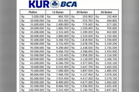 KUR BCA 2025 Pinjaman Rp 50 Juta dan Rp 100 Juta, Pengajuan Lebih Mudah Bisa dari Rumah