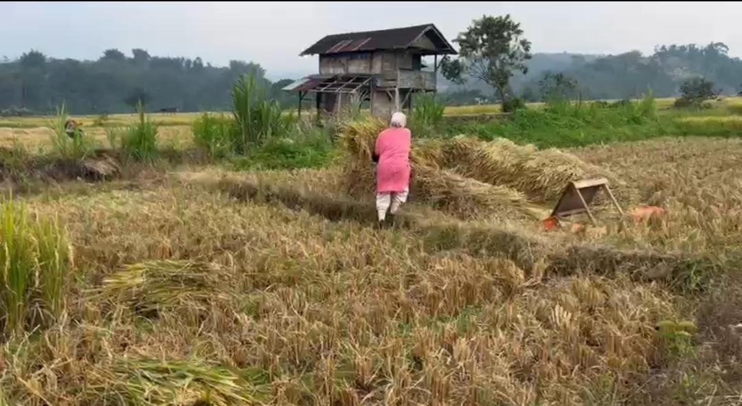 37 Unit Pompa Air Segera Disalurkan ke Petani Rejang Lebong