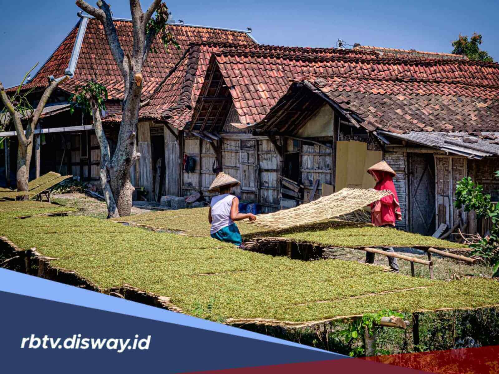 Modal Usaha UMKM Rp 70 Juta Cair, Ini Simulasi Angsuran KUR BRI Juni 2026