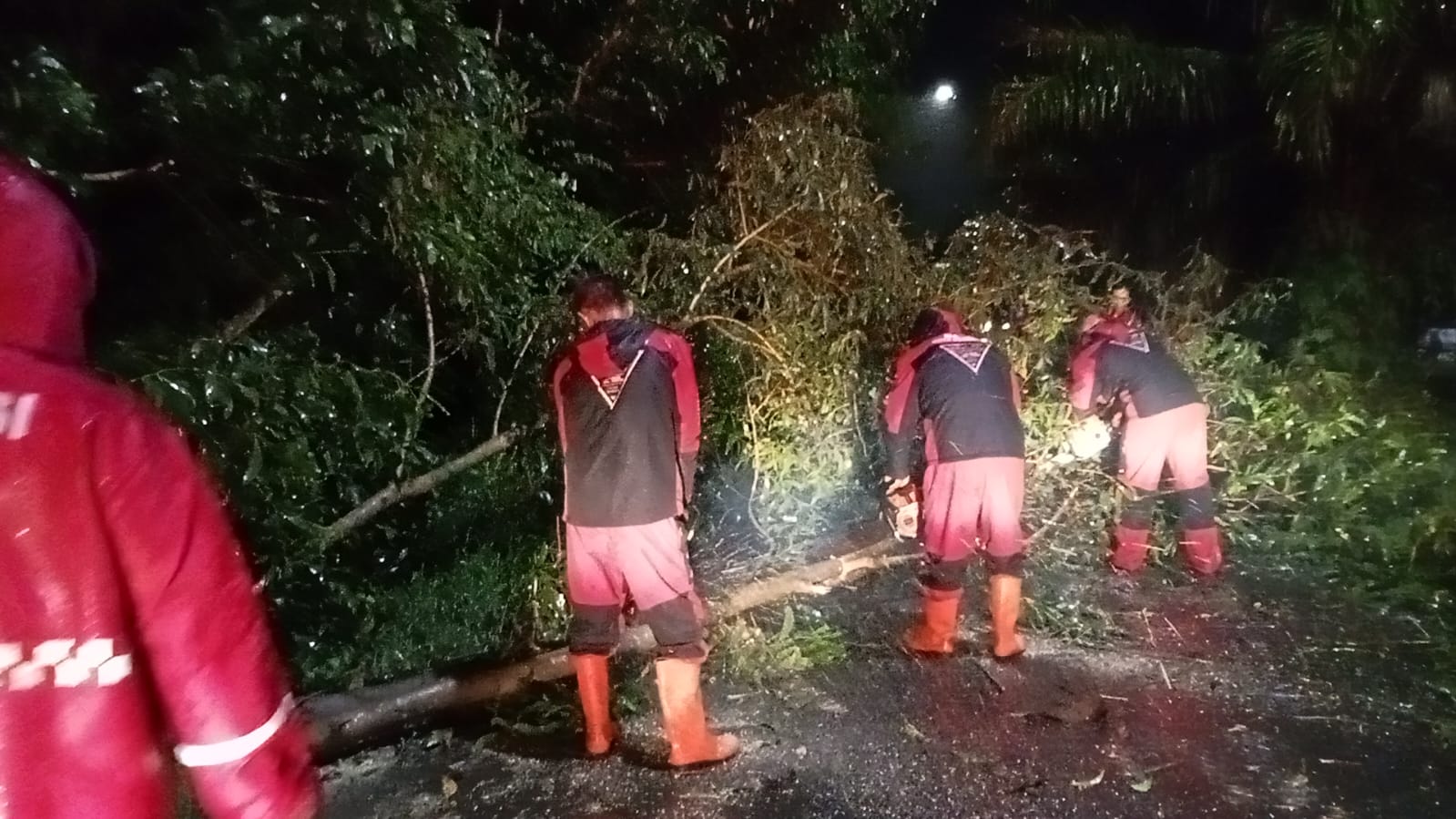 Dampak Cuaca Ekstrem di Bengkulu, PLN Klaim Alami Kerugian Ratusan Juta 