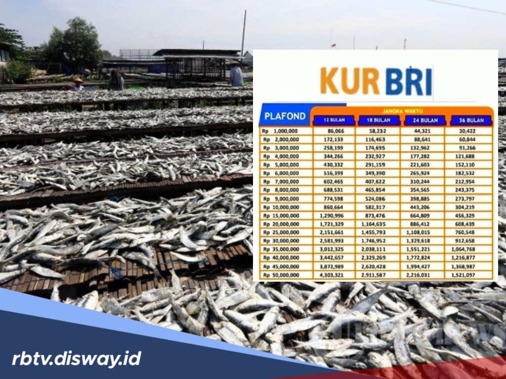 Peluang Usaha Ikan Asin dengan Modal Usaha Rp 10-15 Juta di KUR BRI, Cicilannya Berapa?