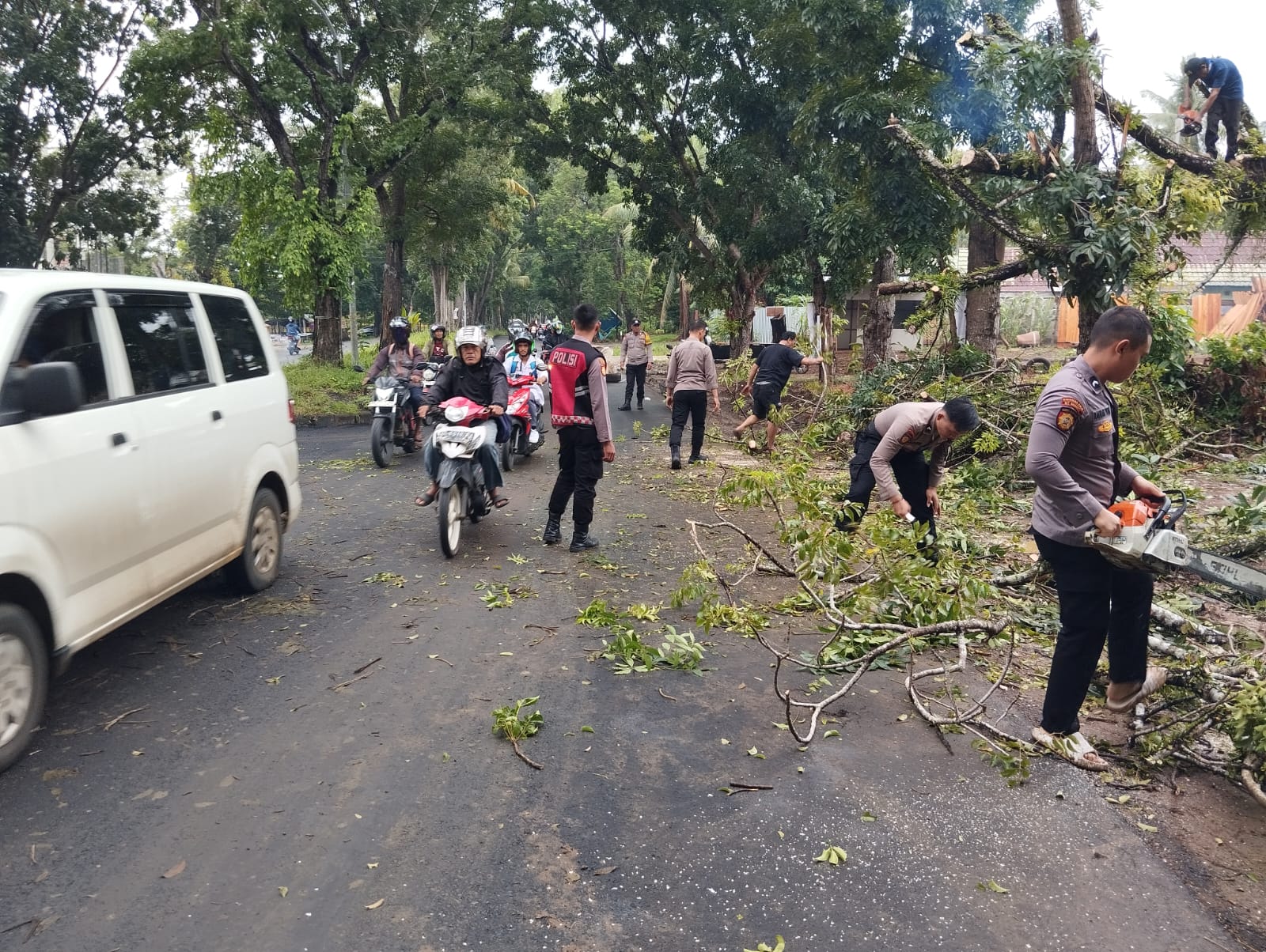 Dua Mobil Tabrak Pohon di Tengah Jalan, Kejadian di Jalan Jenggalu Kota Bengkulu