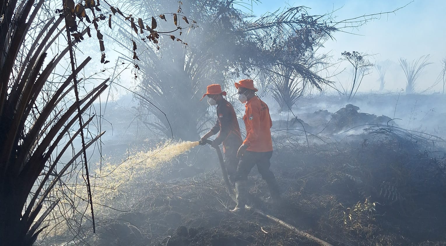 Kebakaran Lahan Gambut di Mukomuko Belum Selesai, Ini yang Dilakukan Tim Gabungan