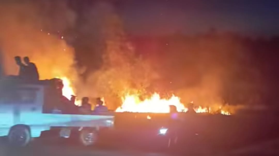 Diduga Akibat Puntung Rokok, Lahan Kering Dekat Dinas Perikanan Seluma Terbakar