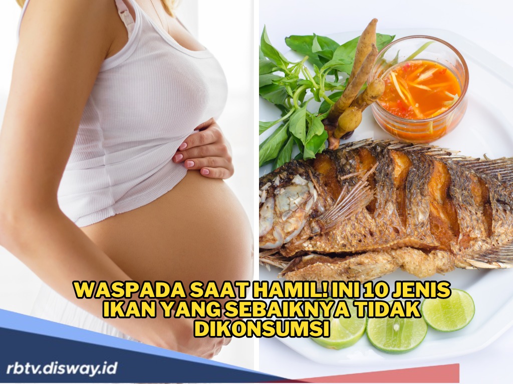 10 Jenis Ikan yang Sebaiknya Tidak Dikonsumsi Ibu Hamil, Ini Alasannya