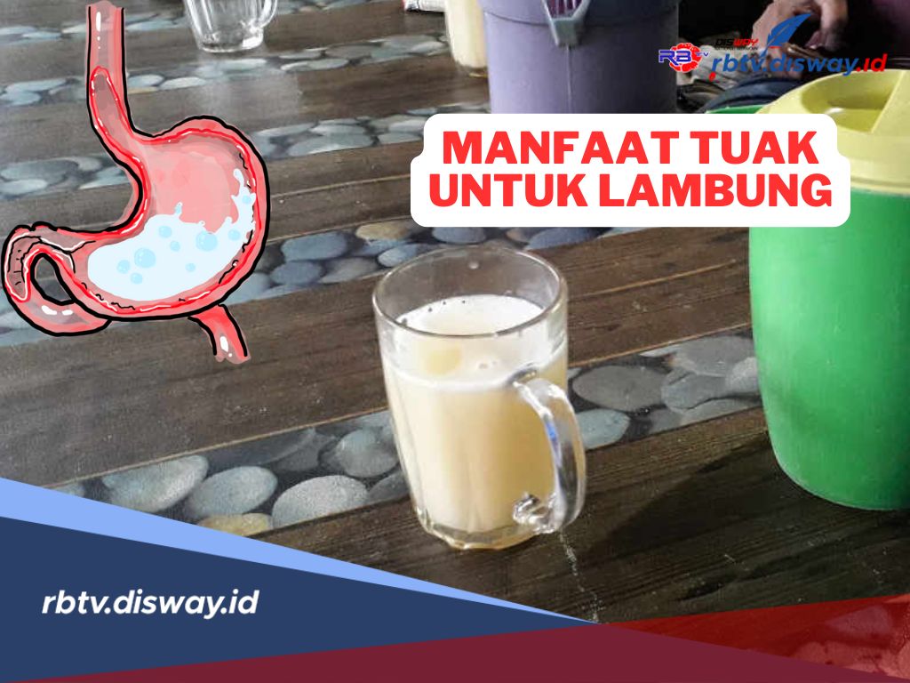 Katanya Minum Tuak Dapat Bermanfaat untuk Lambung, Benarkah? Begini Faktanya