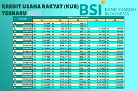 KUR Tanpa Bunga Pinjaman Sampai Rp 50 Juta, Bisa Dicicil Sampai 5 Tahun di BSI 2025
