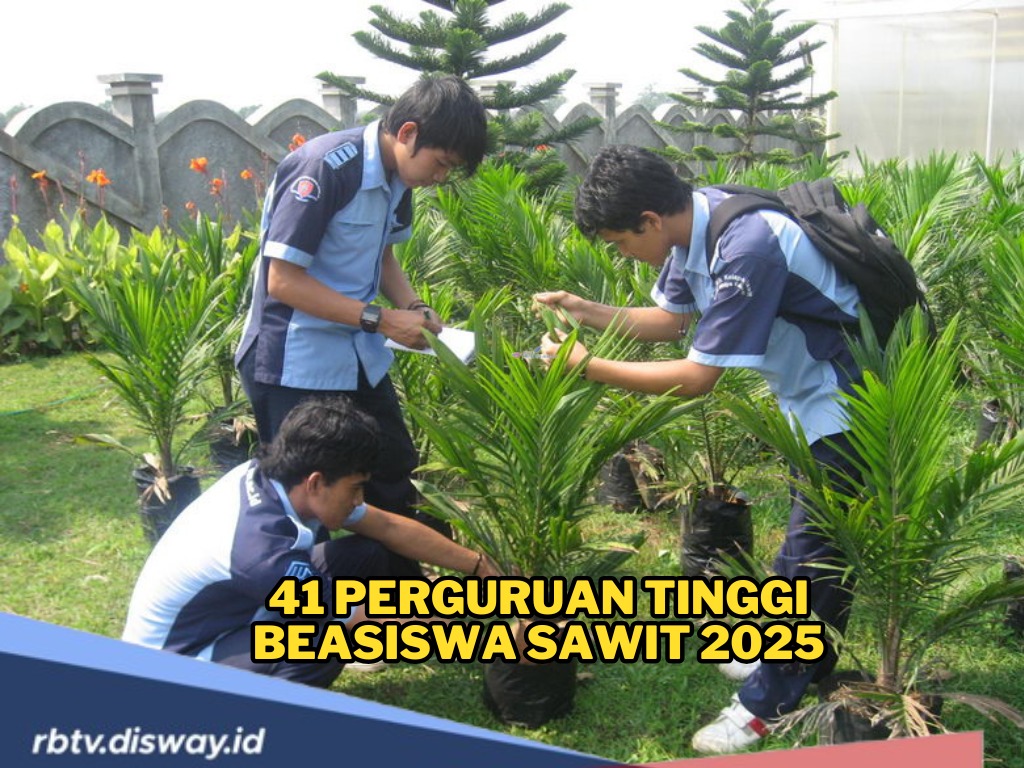 41 Kampus Siap Tampung Ribuan Mahasiswa Beasiswa Sawit 2025, Cek Daftar dan Program Studinya di Sini