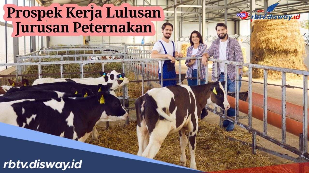 Ini Prospek Pekerjaan Jurusan Peternakan, Ada Peluang Kerja di Kementerian