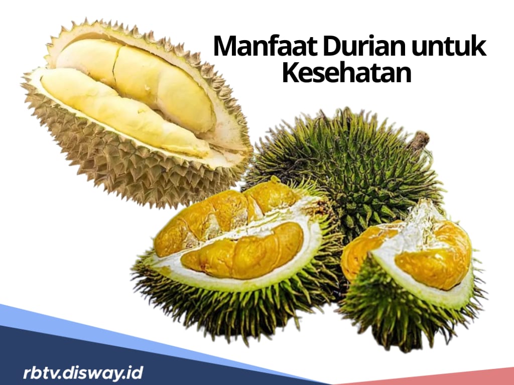 Musim Durian Telah Tiba! Inilah 10 Manfaatnya Bagi Kesehatan Tubuh, Apa Saja?