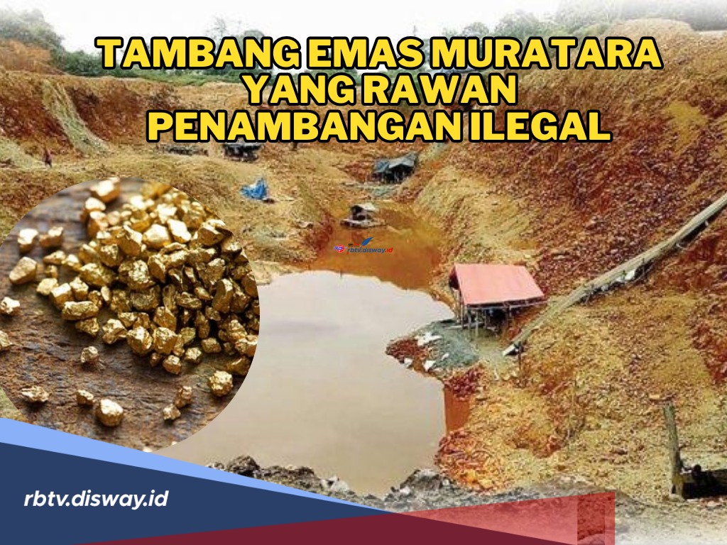 Punya Potensi Emas yang Luar Biasa, Ini Lokasi Tambang Emas Muratara yang Rawan Penambangan Ilegal