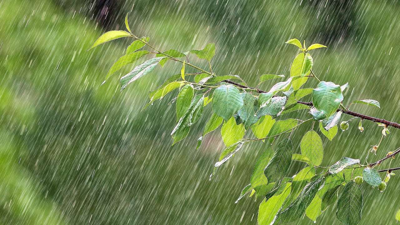 Sudah Masuk Musim Kemarau tapi Masih Sering Hujan, Kenapa ya?