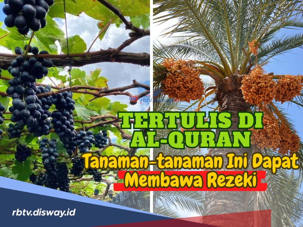 Disebutkan Dalam Al Quran dan Hadist, Ini 7 Tanaman yang Bisa Mendatangkan Rezeki