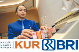 Pakai Cara Ini Pengajuan KUR BRI 2025 Langsung Disetujui, Cek Cicilan Pinjaman Rp 71-Rp 75 Juta