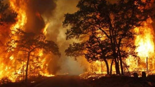 Saat El Nino Tahun 1997, Lebih 8 Juta Ha Lahan Terbakar, Indonesia Jadi Perhatian Dunia