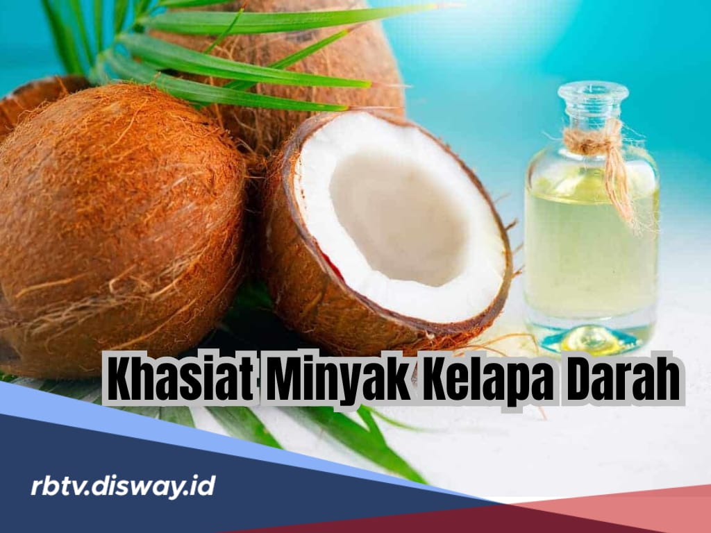 Ini 8 Khasiat Luar Biasa Minyak Kelapa Dara, Jarang Ada yang Tahu